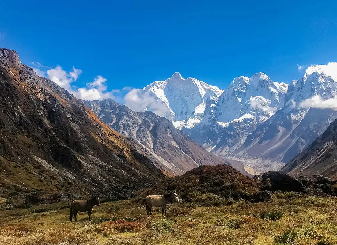 Kanchenjunga North Base Camp Trek – 17 Days